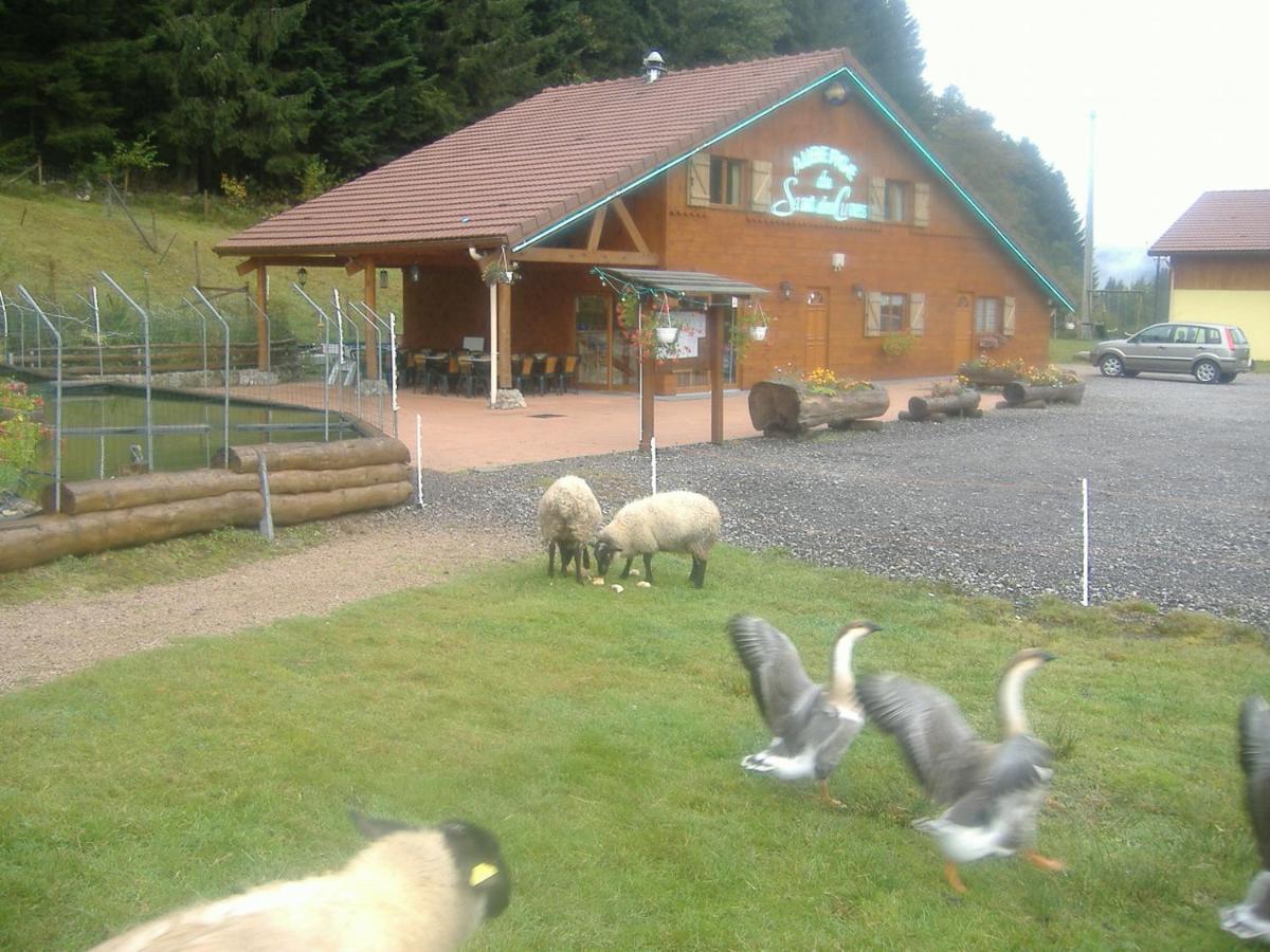 Les Gites De La Bergerie Xonrupt-Longemer Exteriör bild